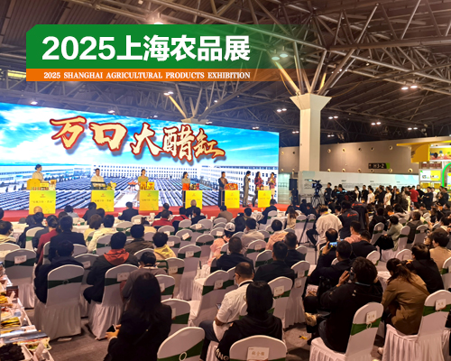配图500×400px上海照片农2.jpg