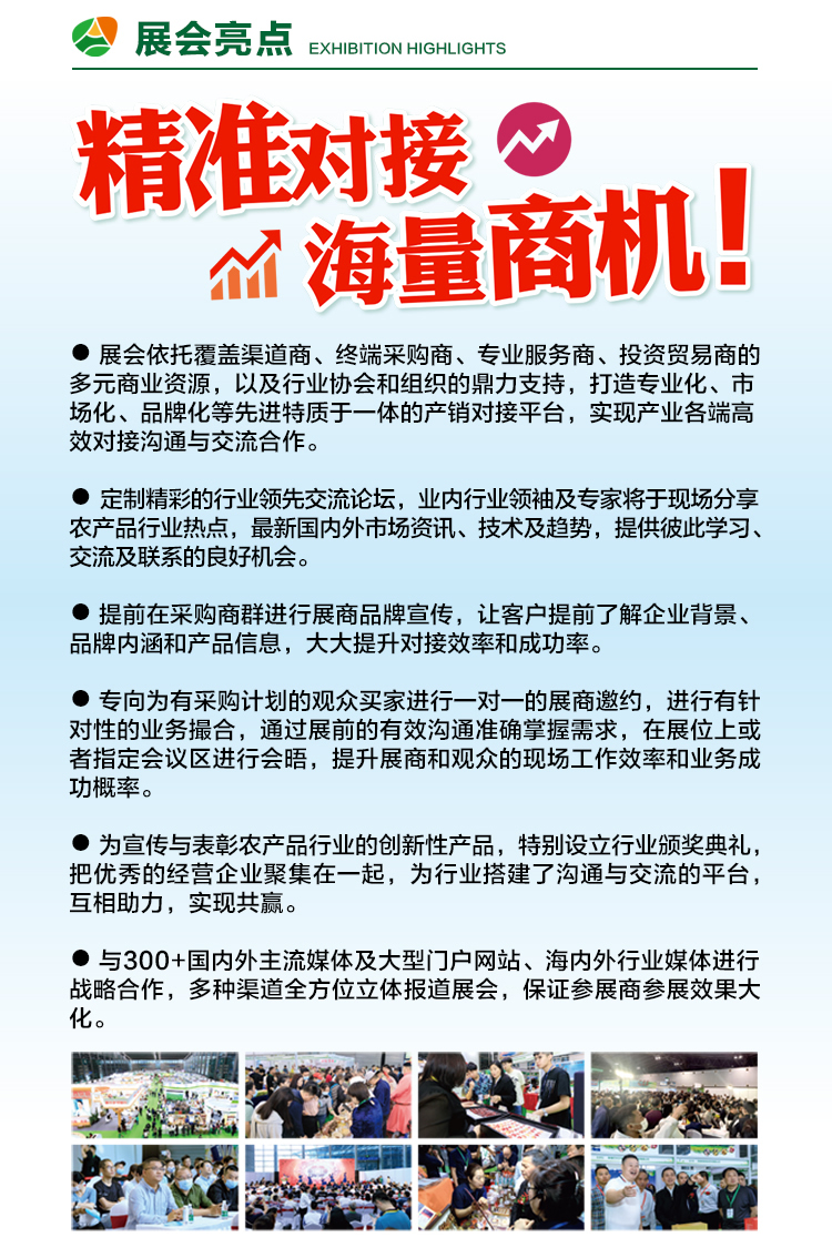 推广页面111_r3_c1.jpg
