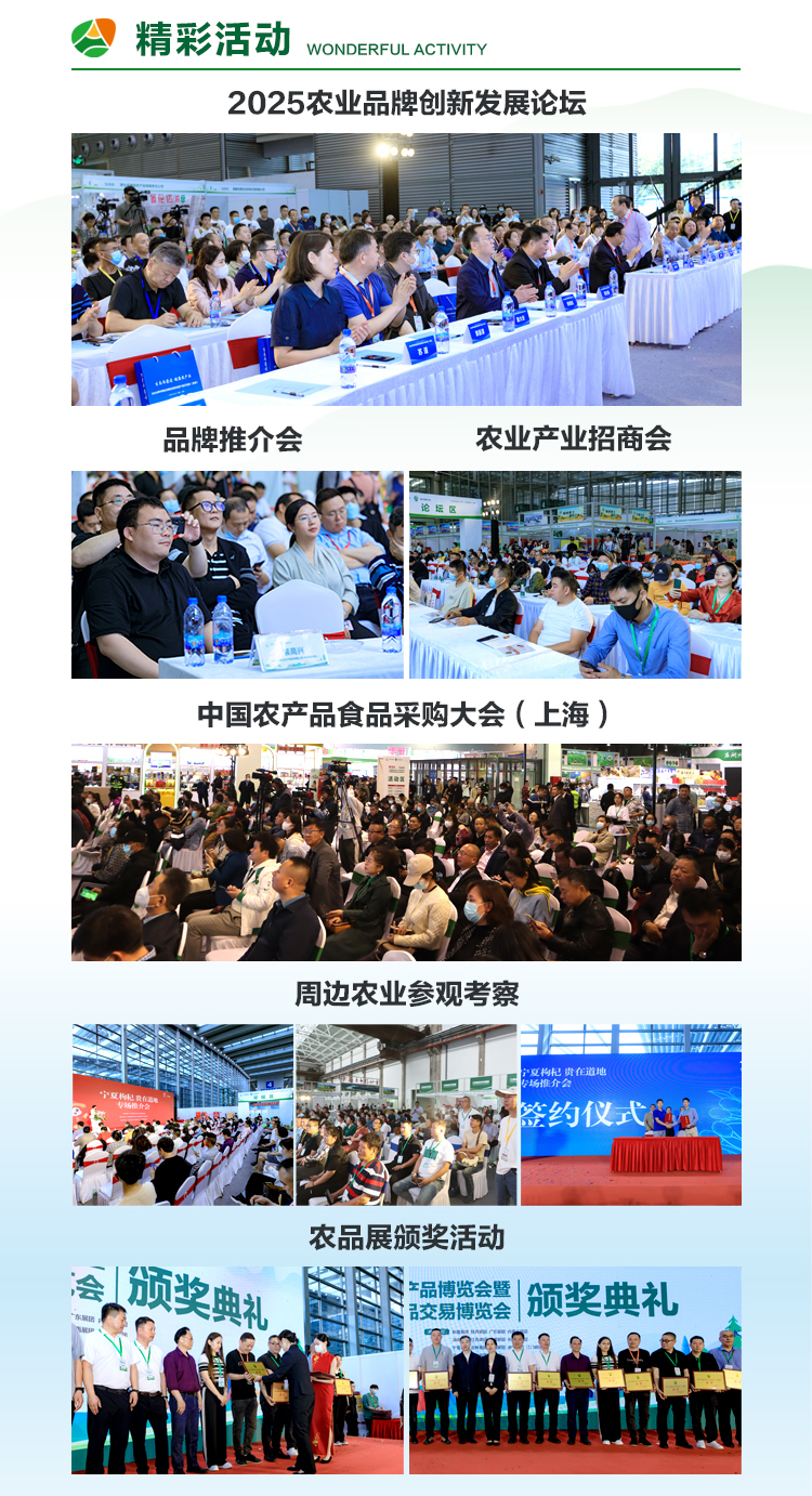 推广页面111_r5_c1.jpg